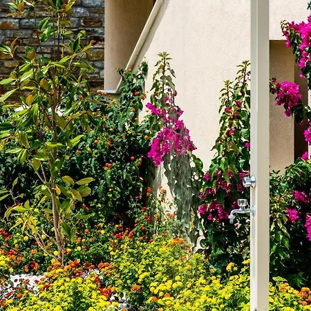 Astir Notos Otel Potos