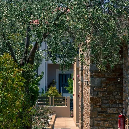 Hotel Astir Notos