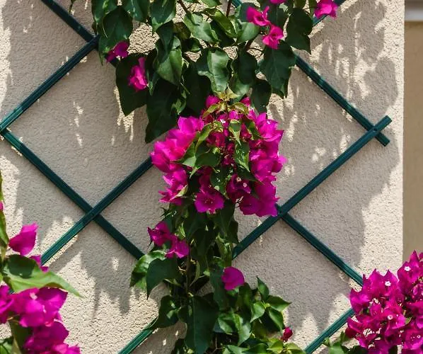 Astir Notos Hotel 4*