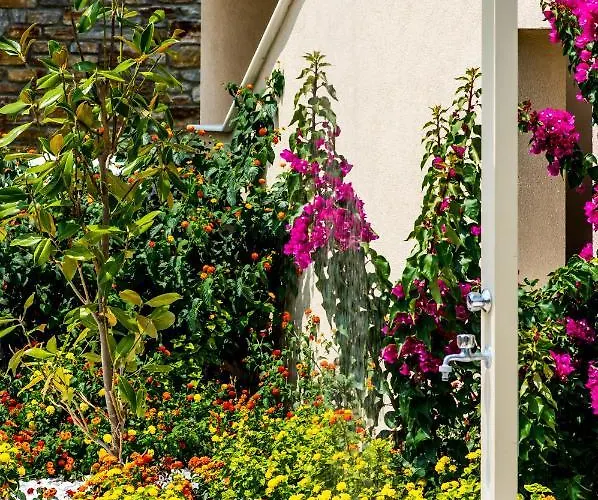 Astir Notos 酒店 波托什